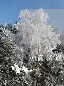 网商贷逾期一天会不会被关闭 网商贷逾期一天会不会被关闭