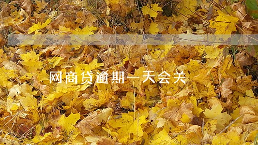 网商贷逾期一天会关 网商贷逾期一天会关