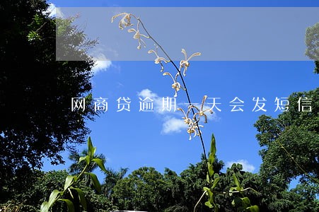网商贷逾期一天会发短信吗 网商贷逾期一天会发短信吗