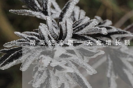 网商贷逾期一天会增长额度那 网商贷逾期一天会增长额度那