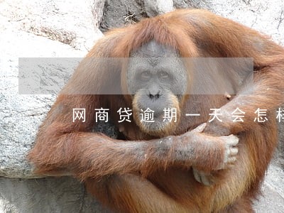 网商贷逾期一天会怎样吗 网商贷逾期一天会怎样吗