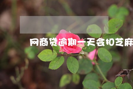 网商贷逾期一天会扣芝麻分 网商贷逾期一天会扣芝麻分
