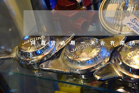 网商贷逾期一天会有滞纳金吗 网商贷逾期一天会有滞纳金吗