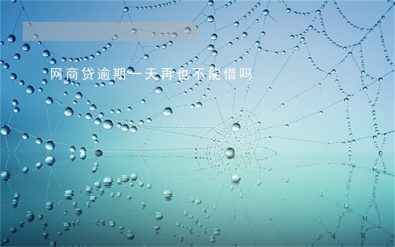 网商贷逾期一天再也不能借吗 网商贷逾期一天再也不能借吗