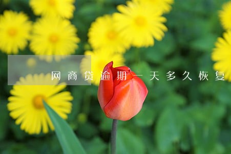 网商贷逾期一天多久恢复额度 网商贷逾期一天多久恢复额度