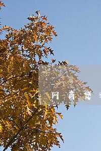 网商贷逾期一天多久扣款 网商贷逾期一天多久扣款
