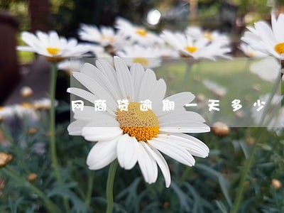 网商贷逾期一天多少 网商贷逾期一天多少