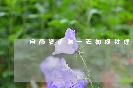 网商贷逾期一天如何处理 网商贷逾期一天如何处理