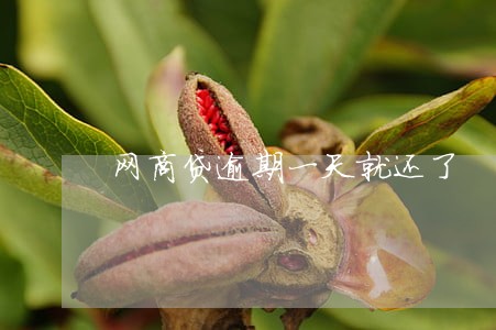 网商贷逾期一天就还了 网商贷逾期一天就还了