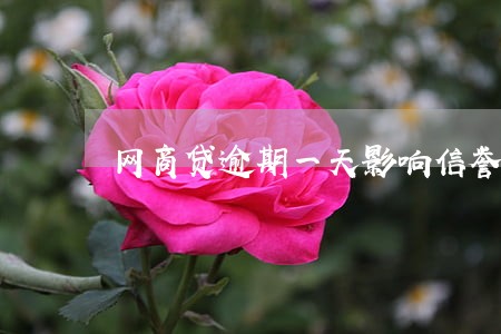 网商贷逾期一天影响信誉吗 网商贷逾期一天影响信誉吗