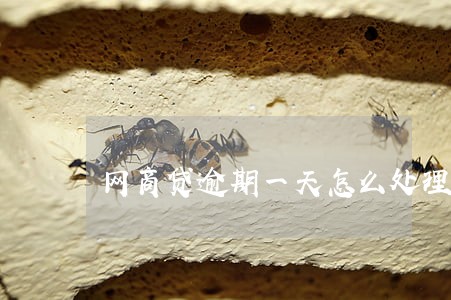 网商贷逾期一天怎么处理 网商贷逾期一天怎么处理