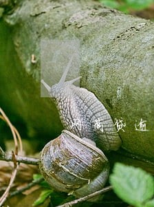 网商贷逾期一天怎么补救 网商贷逾期一天怎么补救