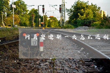 网商贷逾期一天怎么还利息 网商贷逾期一天怎么还利息