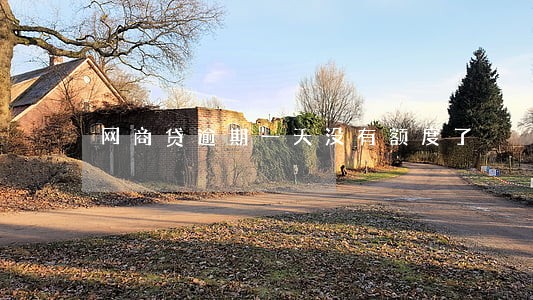 网商贷逾期一天没有额度了 网商贷逾期一天没有额度了