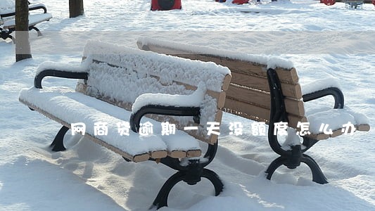 网商贷逾期一天没额度怎么办 网商贷逾期一天没额度怎么办