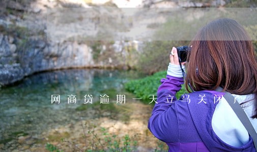 网商贷逾期一天立马关闭了