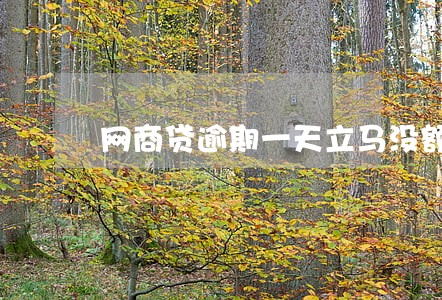 网商贷逾期一天立马没额度 网商贷逾期一天立马没额度
