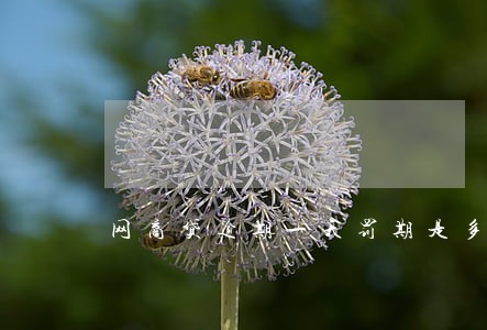 网商贷逾期一天罚期是多少 网商贷逾期一天罚期是多少