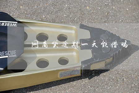 网商贷逾期一天能借吗 网商贷逾期一天能借吗
