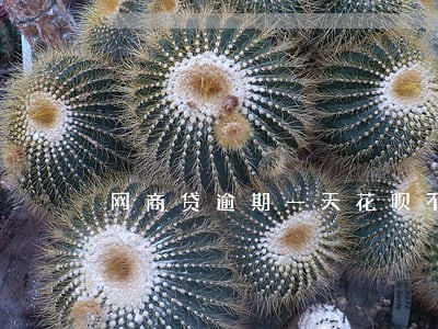 网商贷逾期一天花呗不能用了 网商贷逾期一天花呗不能用了