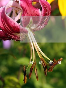 网商贷逾期一天要扣多少钱 网商贷逾期一天要扣多少钱