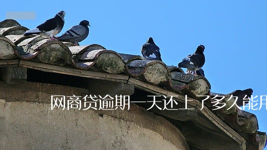 网商贷逾期一天还上了多久能用 网商贷逾期一天还上了多久能用