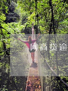 网商贷逾期一天还能借钱吗 网商贷逾期一天还能借钱吗