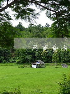 网商贷逾期一天页面 网商贷逾期一天页面