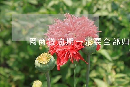 网商贷逾期一定要全部归还吗 网商贷逾期一定要全部归还吗