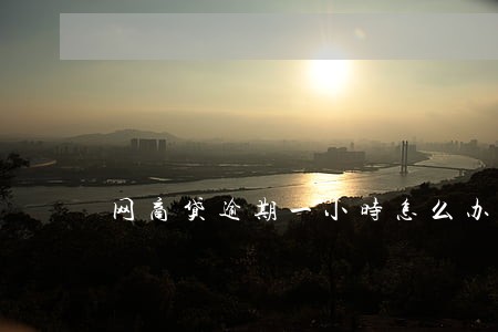 网商贷逾期一小时怎么办 网商贷逾期一小时怎么办