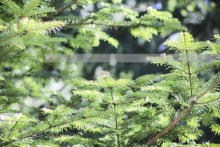 网商贷逾期一年会怎样 网商贷逾期一年会怎样