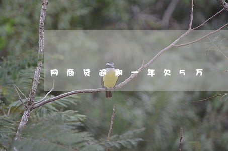 网商贷逾期一年欠5万 网商贷逾期一年欠5万