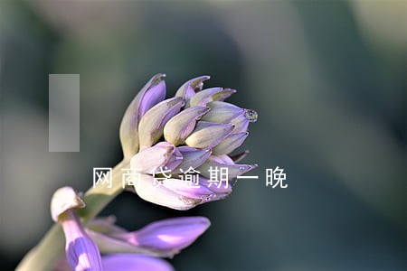 网商贷逾期一晚 网商贷逾期一晚