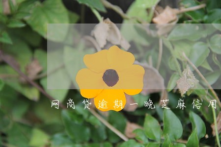 网商贷逾期一晚芝麻信用 网商贷逾期一晚芝麻信用
