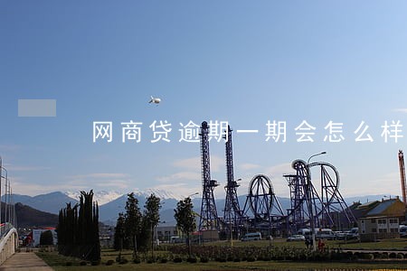 网商贷逾期一期会怎么样 网商贷逾期一期会怎么样