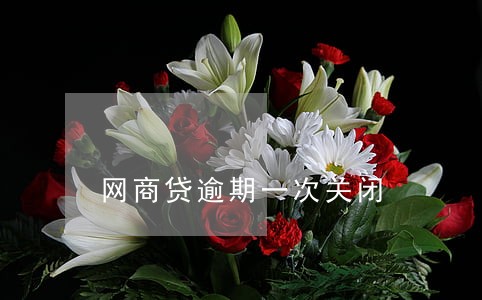 网商贷逾期一次关闭 网商贷逾期一次关闭