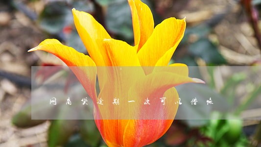 网商贷逾期一次可以借嘛 网商贷逾期一次可以借嘛