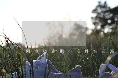 网商贷逾期一次性结清减免利息 网商贷逾期一次性结清减免利息