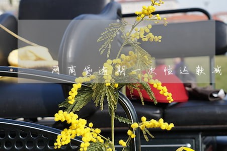 网商贷逾期一次性还款减免 网商贷逾期一次性还款减免