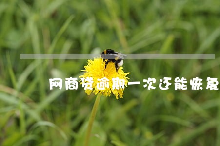 网商贷逾期一次还能恢复额度吗 网商贷逾期一次还能恢复额度吗