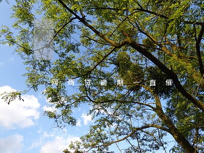 网商贷逾期一直催 网商贷逾期一直催