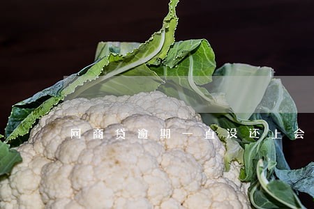 网商贷逾期一直没还上会怎么样 网商贷逾期一直没还上会怎么样
