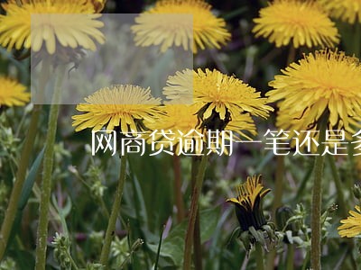 网商贷逾期一笔还是多笔算呢
