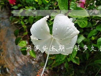 网商贷逾期一般多久会上诉 网商贷逾期一般多久会上诉