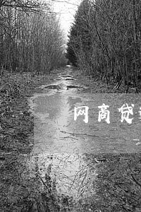 网商贷逾期七天才还 网商贷逾期七天才还