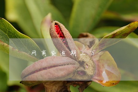 网商贷逾期三万 网商贷逾期三万