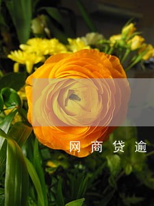 网商贷逾期三个月多少利息 网商贷逾期三个月多少利息