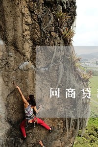 网商贷逾期三天 网商贷逾期三天