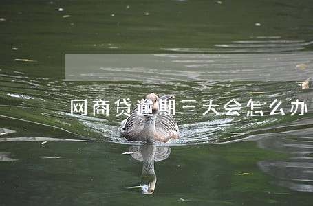 网商贷逾期三天会怎么办 网商贷逾期三天会怎么办