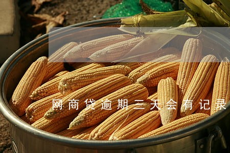 网商贷逾期三天会有记录吗 网商贷逾期三天会有记录吗